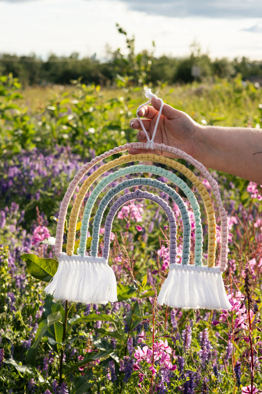 Metal Frame Rainbow Wall Decor